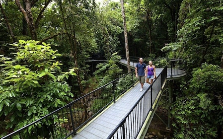 Excursión premium de un día a Daintree, el desfiladero de Mossman y Cape Tr...