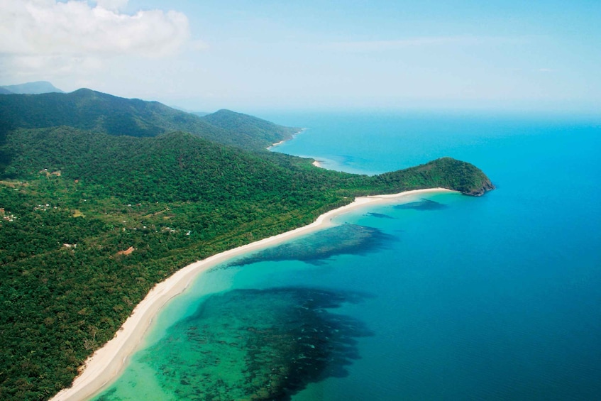 Picture 2 for Activity Cairns: Daintree, Mossman Gorge, & Cape Tribulation Day Trip