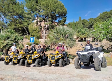 Alcudia: Quad Sightseeing Tour with Viewpoints