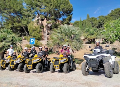 Alcudia: Quad Sightseeing Tour with Viewpoints