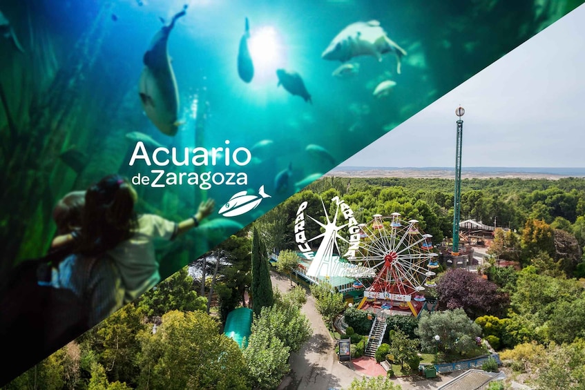 Picture 2 for Activity Zaragoza: Combo Amusement Park and Aquarium entry ticket