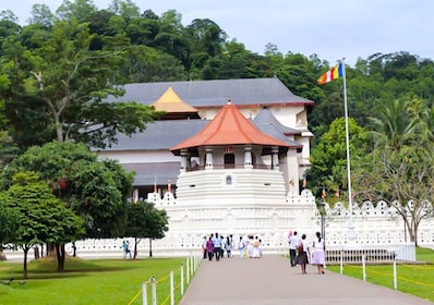 Vanuit Bentota of Beruwela: privédagtocht naar Kandy