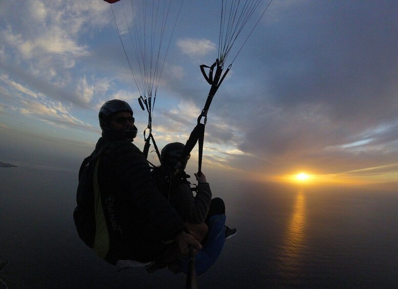 Picture 4 for Activity Tenerife: Paragliding Flight