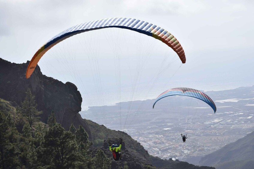 Picture 2 for Activity Tenerife: Paragliding Flight