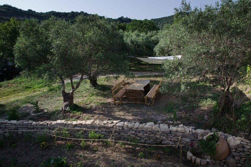 Picture 4 for Activity Chania: 5-Wine Tasting with Locals in Village near Kissamos