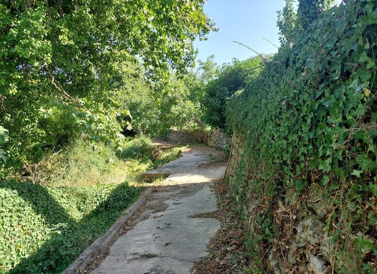 Picture 9 for Activity Chania: 5-Wine Tasting with Locals in Village near Kissamos