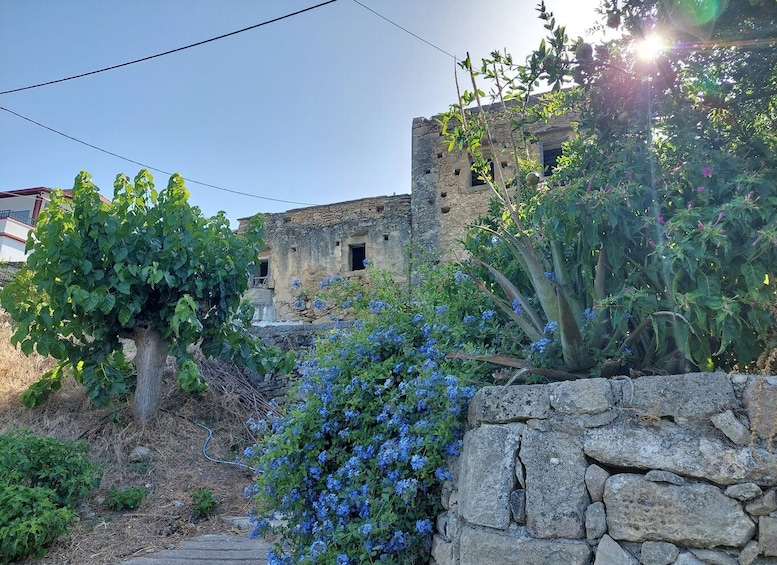 Picture 7 for Activity Chania: 5-Wine Tasting with Locals in Village near Kissamos