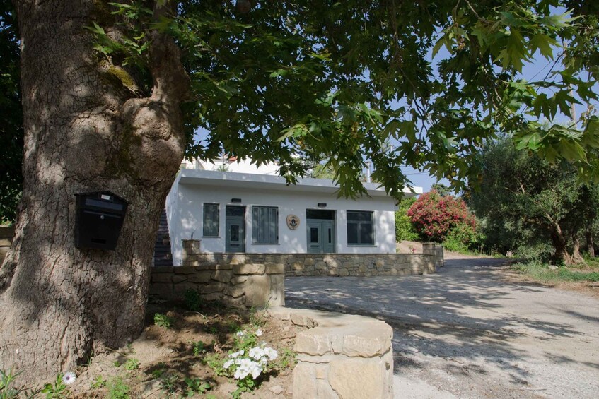 Picture 3 for Activity Chania: 5-Wine Tasting with Locals in Village near Kissamos