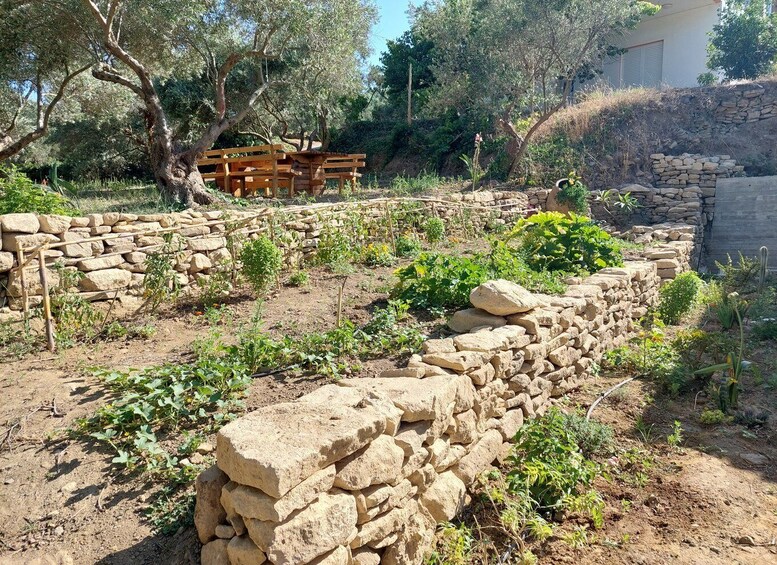 Picture 6 for Activity Chania: 5-Wine Tasting with Locals in Village near Kissamos