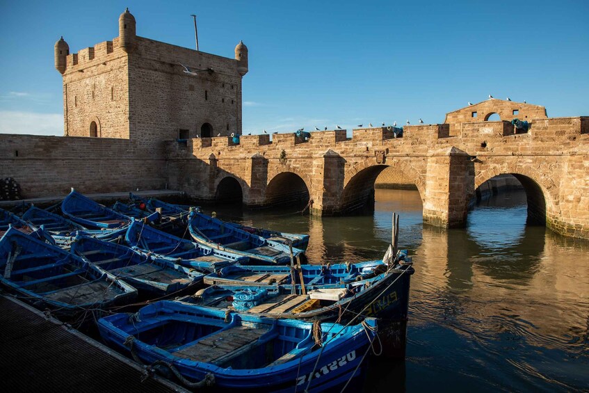 From Agadir: Essaouira Day Trip with Guide