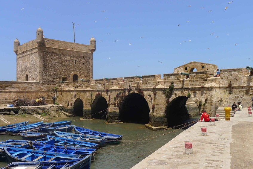 Picture 8 for Activity From Agadir: Essaouira Day Trip with Guide