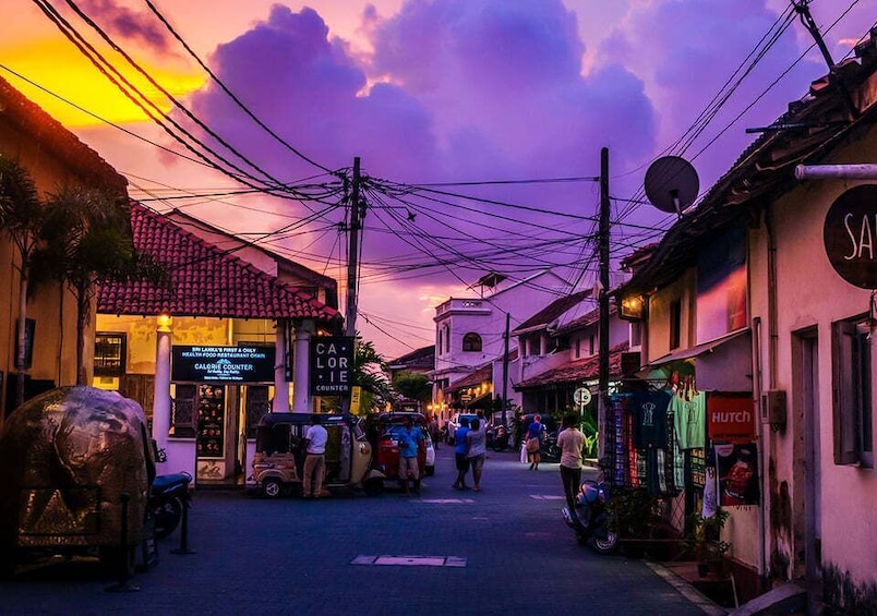 Picture 4 for Activity From Galle: Morning or Evening Beach Safari by TukTuk