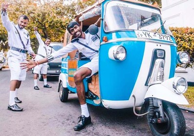 Desde Galle: Safari por la playa por la mañana o por la tarde en TukTuk