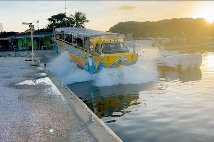 Splashy Iguana Tour in Curacao