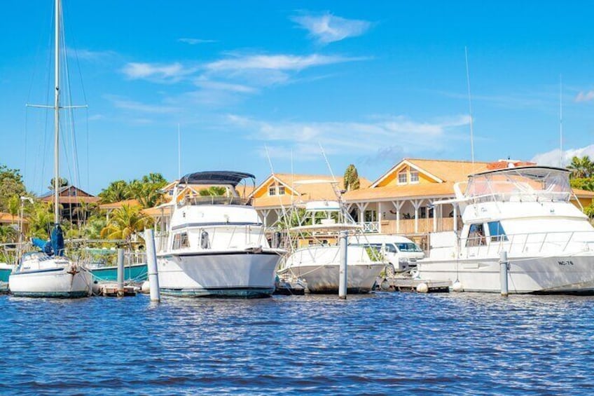 Splashy Iguana Tour in Curacao
