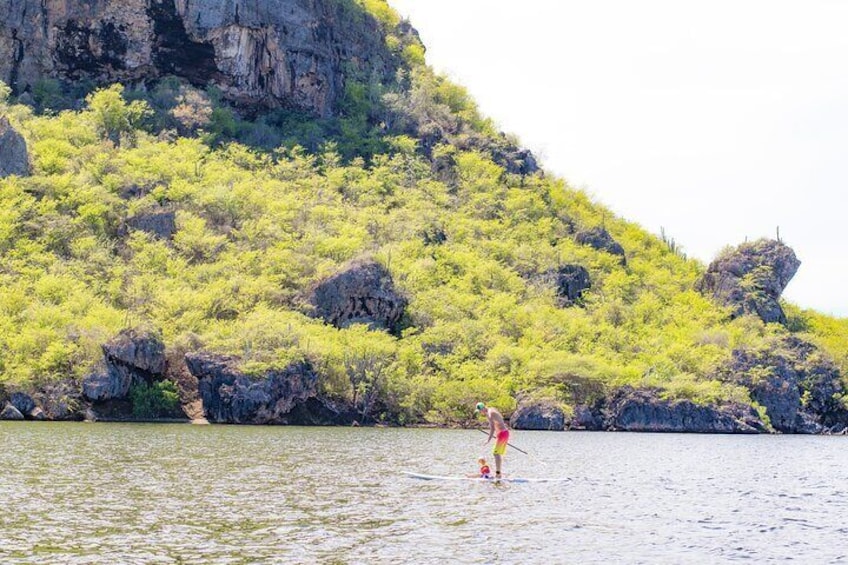 Splashy Iguana Tour in Curacao