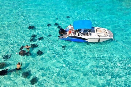 4 hour Private Guided Boat Charter in The Cayman Islands