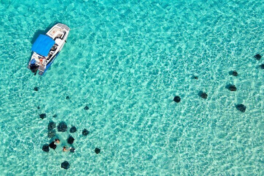 Private Guided Boat Charters in The Cayman Islands