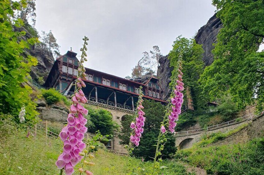 Full Day Hiking Tour in Bohemian and Saxony Switzerland 