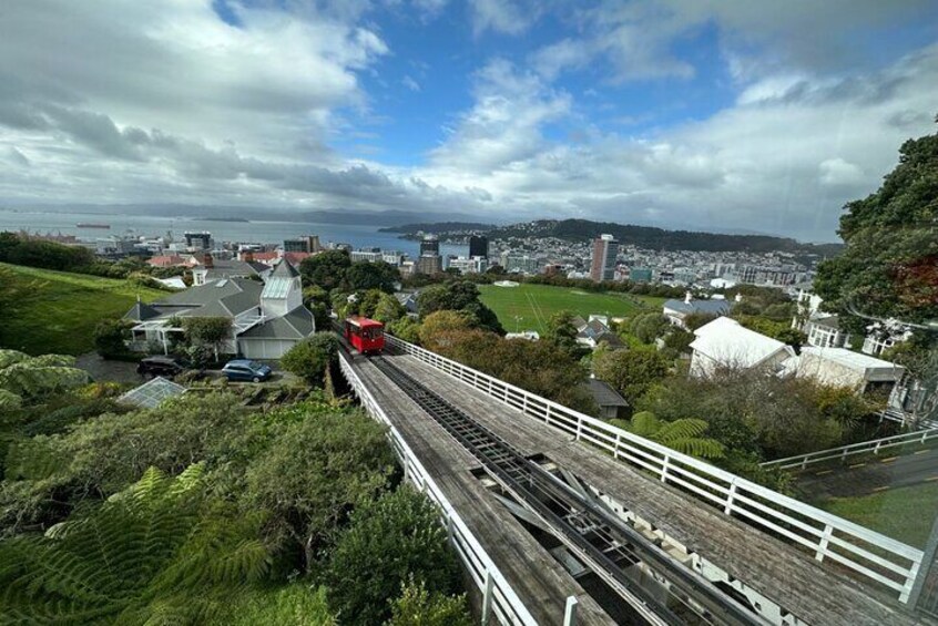 4 Hour Private Tour in Wellington with Professional Guide