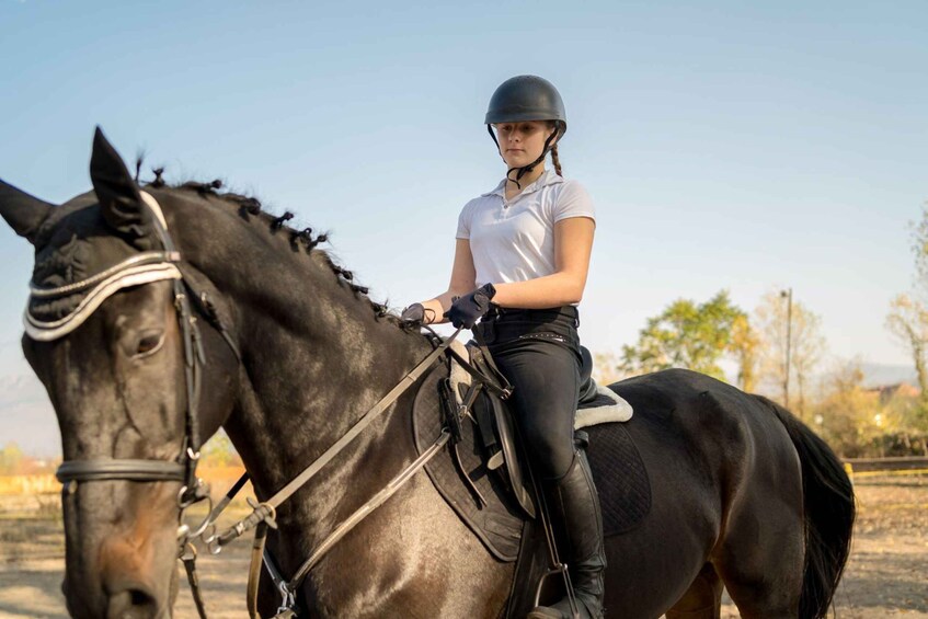 Picture 5 for Activity Agadir: Forest and Sand Dunes Guided Horse Riding Tour