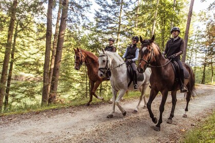 Agadir: Excursión guiada a caballo por el bosque y las dunas de arena