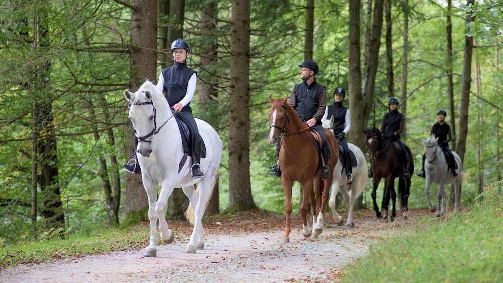 Picture 3 for Activity Agadir: Forest and Sand Dunes Guided Horse Riding Tour