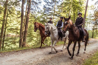 Agadir: tour guiado a caballo por el bosque y las dunas de arena