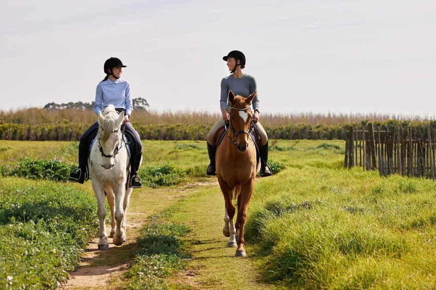 Picture 4 for Activity Agadir: Forest and Sand Dunes Guided Horse Riding Tour