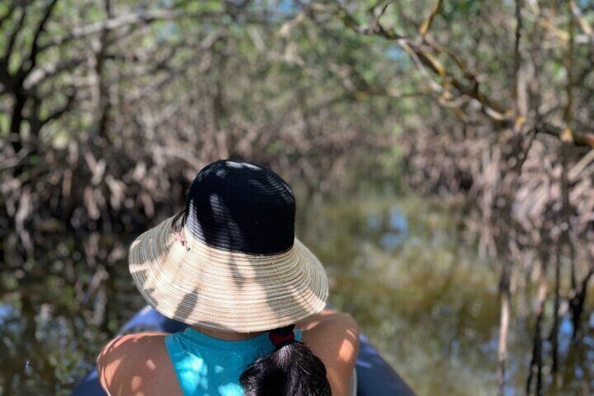 2-Hours Enchanting Jungles and Rivers from Fort Pierce