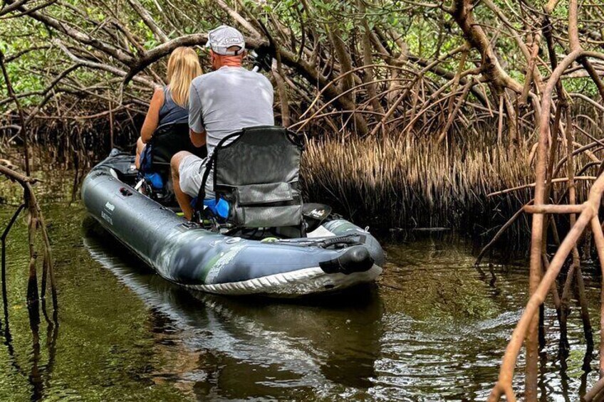 2- Hour Jungle Tour at Prehistoric Preserve Site in Fort Pierce