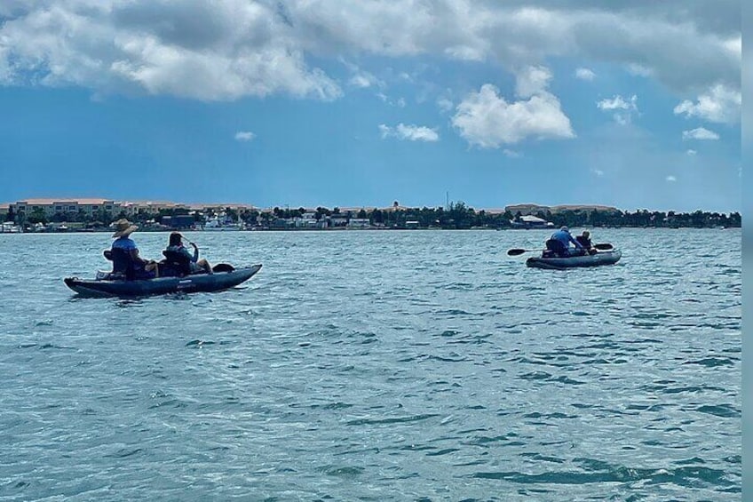 3-Hour Mangrove Island and Dolphin Watch Sandbar in Fort Pierce