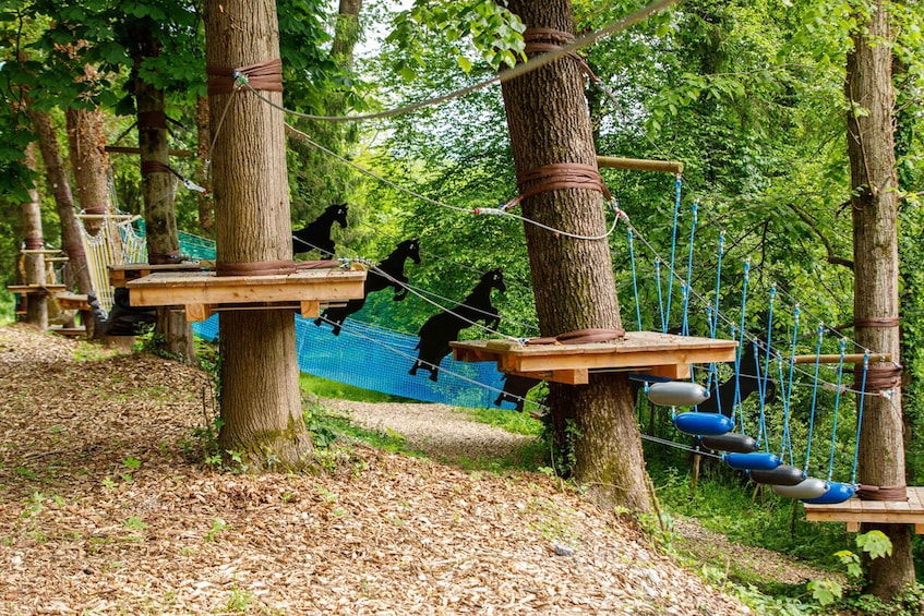 Picture 8 for Activity Piber: Climbing Park