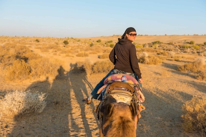 Agadir: paseo en camello al atardecer - Río Flamingo