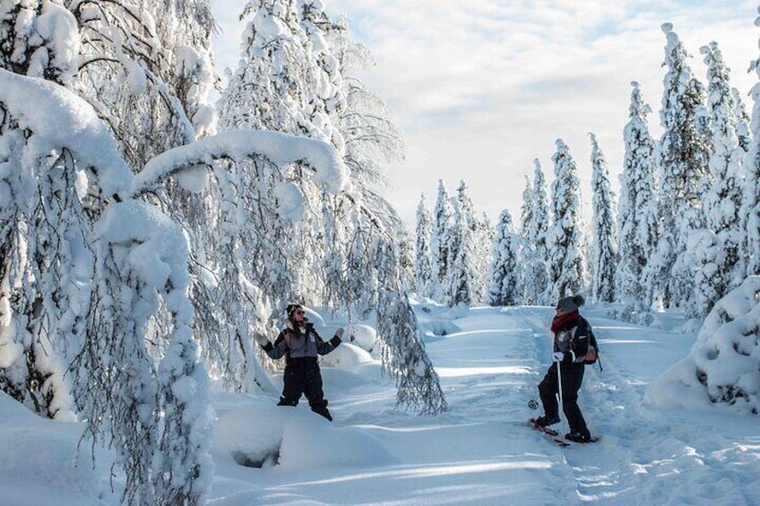 Half Day Snowshoe Hiking Adventure in Levi Lapland