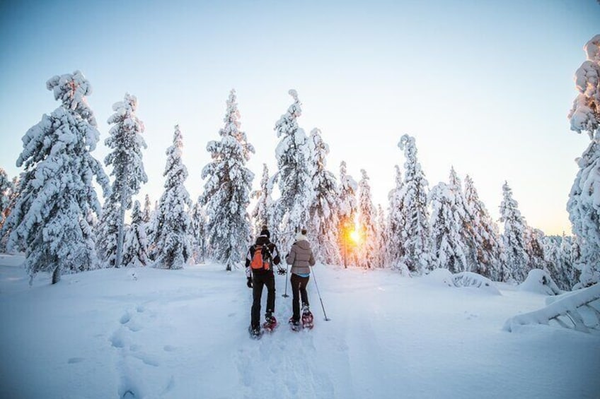 Half Day Snowshoe Hiking Adventure in Levi Lapland