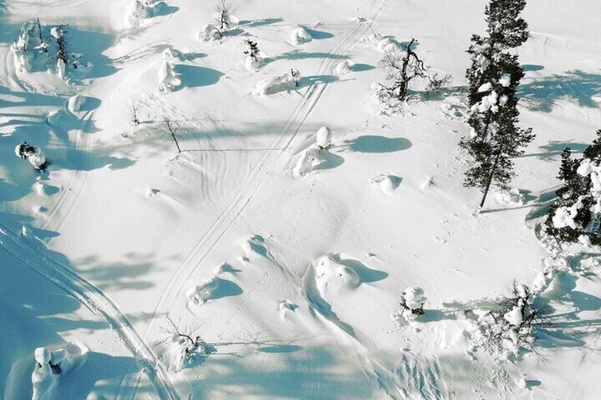 Half Day Snowshoe Hiking Adventure in Levi Lapland