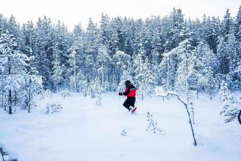 Half Day Snowshoe Hiking Adventure in Levi Lapland