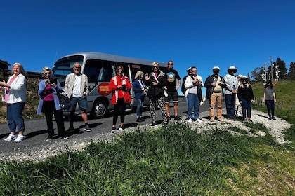 TAURANGA City & Scenic Sightseeing Tour en autobús local de 2 horas