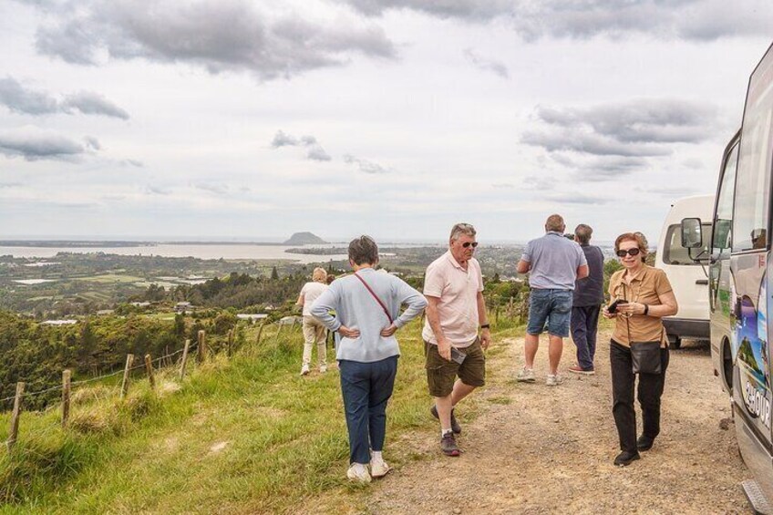 Stop at the View Point