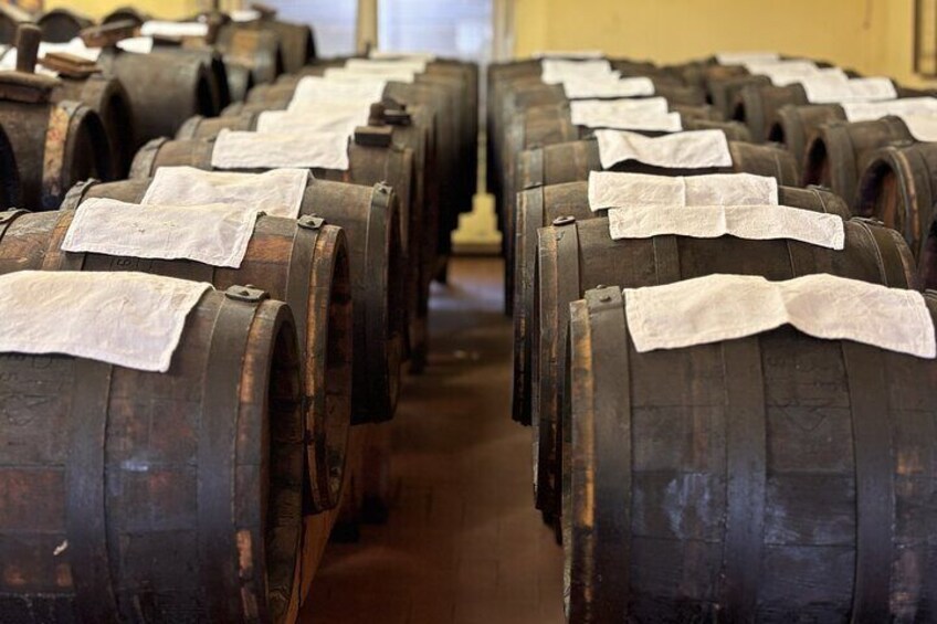 Visiting the Balsamic Vinagre production