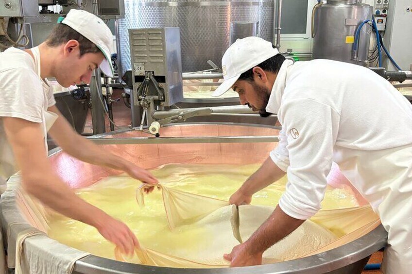 Visiting to the Parmigiano Reggiano dairy farm
