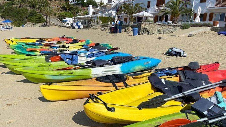 Kayak Rental in Almadrava Beach