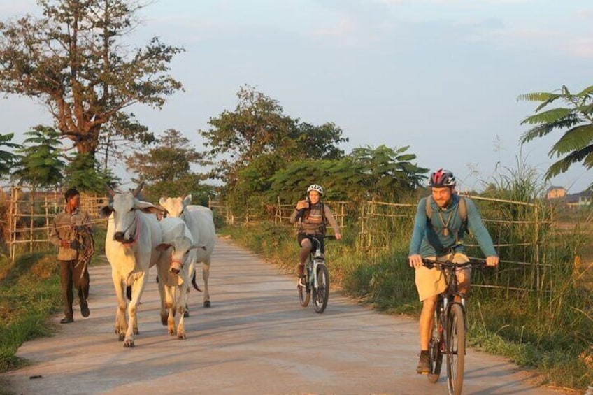 Phnom Penh Islands of the Mekong Guided Bike Tour 