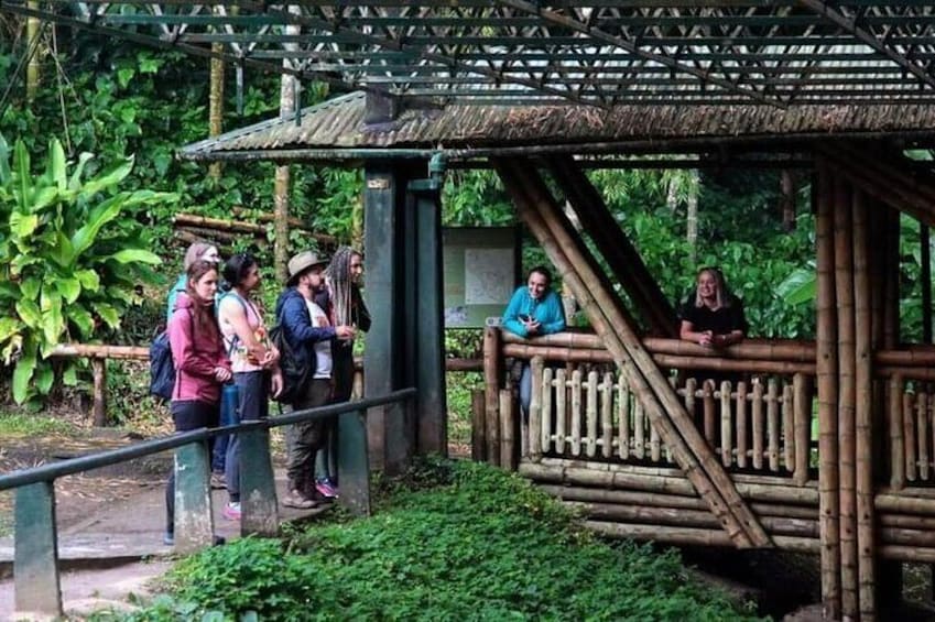 The archaeological park with a guide