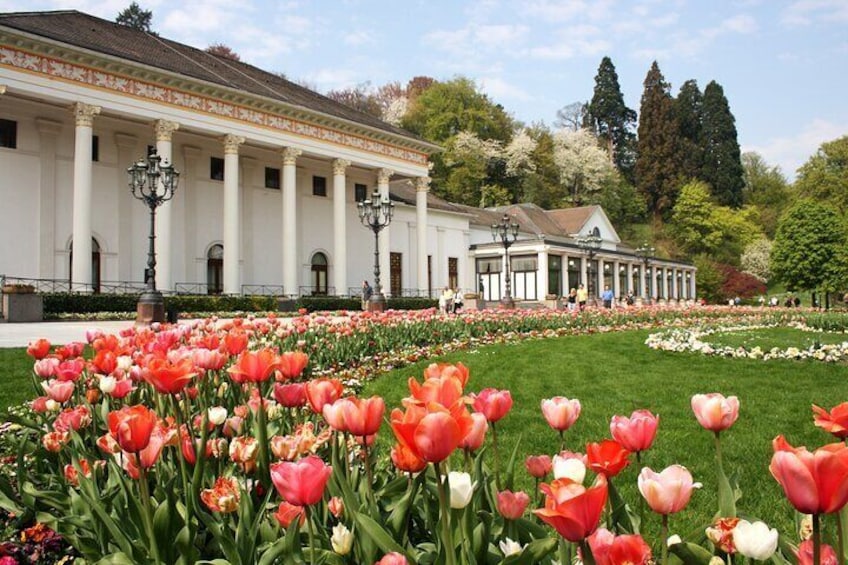 Full Day Walking Tour from Black Forest to Freiburg in Baden