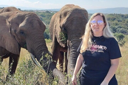 Walk with Elephants Experience for seniors or families with baby