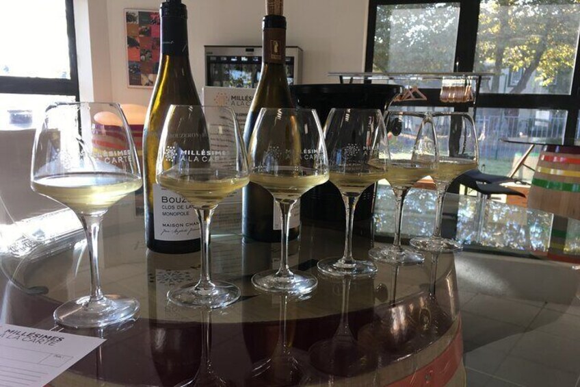 Private Tasting in Beaune of Burgundy Wines