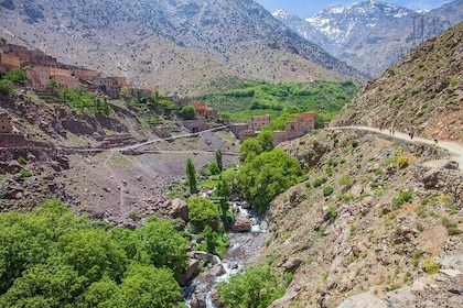Immerse in the Charm of Imlil Village A Delightful Day Trip