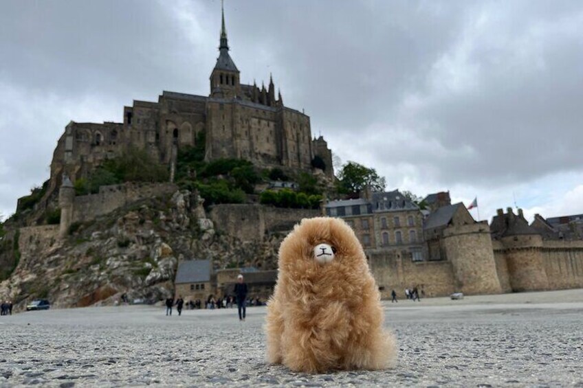 Private Guided Mont Saint Michel & D-day tour from Paris